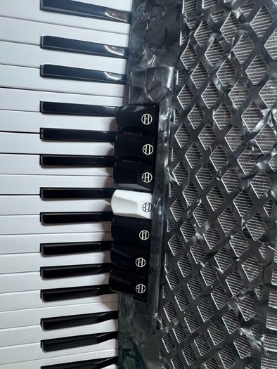 piano accordion Scandalli 96 bass