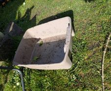 cat litter box