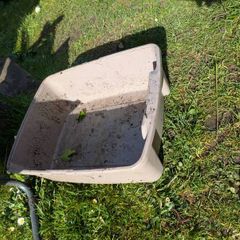 cat litter box