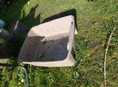 cat litter box