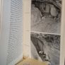 Seven Caves: Archaeological Explorations in the Middle East by Carleton S. Coon (LP234) Image 4