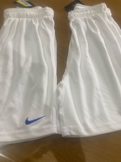 Nike shorts 2 pairs new