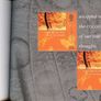 2001 Guernsey Incorporation of Guernsey Post Ltd Commemorative Stamp Booklet Mint Never Hinged (MNH) Image 5