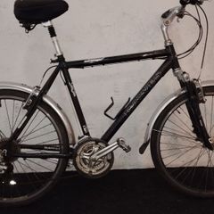 men's hybrid