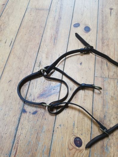 Head Collar Training Collar, control collar