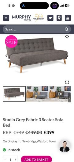 sofa bed Michael Murphy