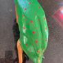 Wooden duck wine holder Image 5