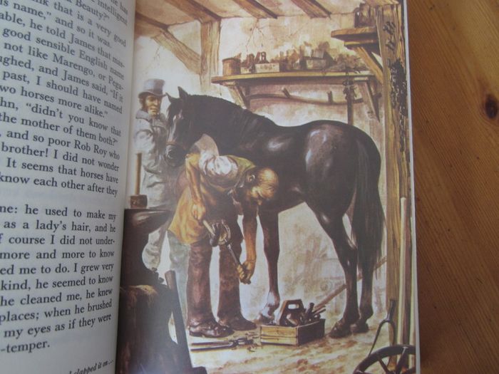 Black beauty    hardback 1981
