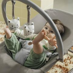 Baby Rocker, 0 2 years, Lightweight (2.7 kg), Ultra-Flat Folding, Adjustable Backrest, Removable Toy Arch, 3-point Harness, Stationary Mode, Tinted Graphite
