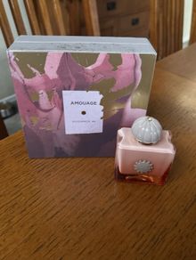Amouage Guidance 46