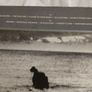 Clannad Macalla 12" Vinyl Image 3