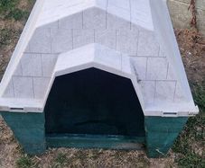 Large dog kennel