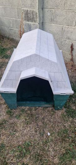 Large dog kennel