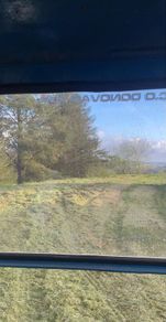 Mulching on hire