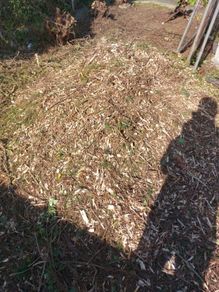 Wood Chips