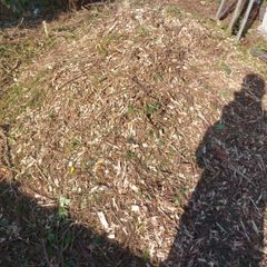 Wood Chips