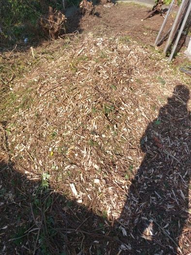 Wood Chips