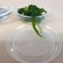 Aquaristc mosses Image 8