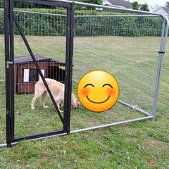 Dog , chicken  pen