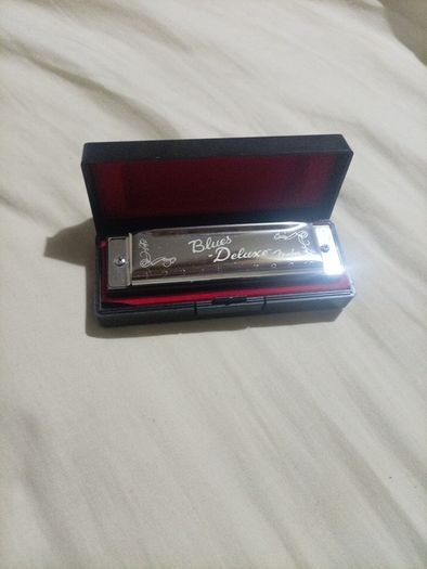 harmonica