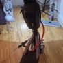 E Scooter: 2025 Inner City Grafter Dual Motor Scooter.  2400w In Dual Mode. Comes With Warranty And Original Fast Charger, + More Extras. Had Very Little Use Scooter Is Mint. Very Powerful Scooter. WOULD TRADE FOR A GOOD KUKIRIN G3 PRO OR A FRESH G2 MASTE Image 7