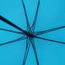 Umbrella Image 6