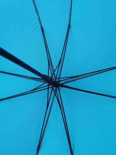 Umbrella