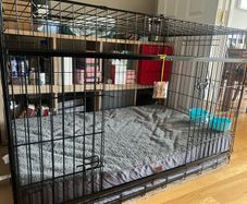 XXL crate