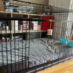 XXL crate