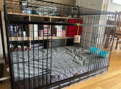 XXL crate