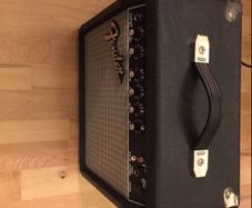 Fender 15g Guitar Amp