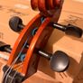 Roth & Junius RJC Cello Set 1/2 Image 4