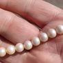 9 Carat Gold Freshwater Pearl Necklace Image 8