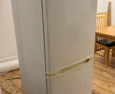 fridge and freezer