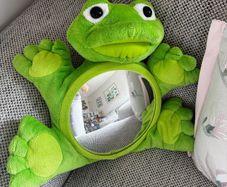 carseat mirror