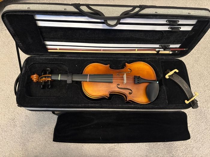 violins