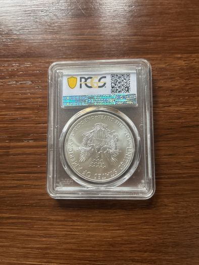 2013-(s) 1 Dollar Silver Eagle Struck At San Francisco