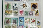 Collection. Green Lighthouse Stamp Stock book full of used stamps.  Over 600 stamps and a number of block. Good thematic of travel inc cars &amp; animals
