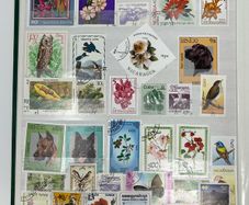 Collection. Green Lighthouse Stamp Stock book full of used stamps.  Over 600 stamps and a number of block. Good thematic of travel inc cars & animals