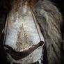 1 Copper Chain Wild Deer Jaw Viking Amulet Talisman Necklace Wasteland Bone Wearable Art Image 3