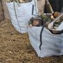 Firewood Image 6