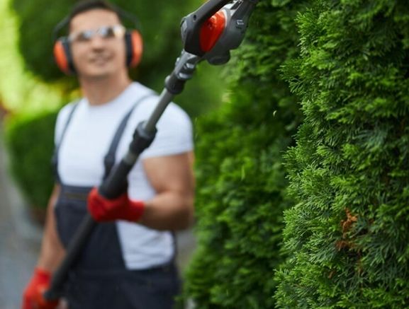 Gardening/Landscaping & handyman services