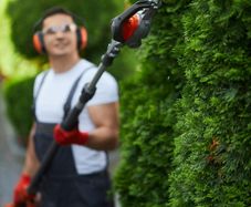Gardening/Landscaping & handyman services