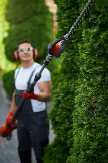 Gardening/Landscaping & handyman services