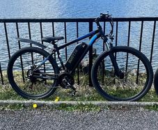 Duotts 29c e-bike