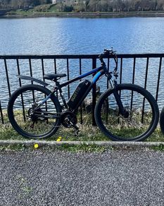 Duotts 29c e-bike