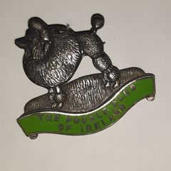 lapel pin