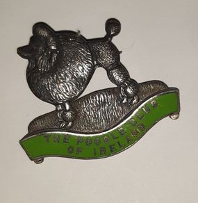 lapel pin