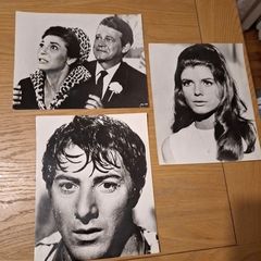 1967 The Graduate Press Photos  Dustin Hoffman