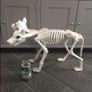 Life size skeleton dog Image 3